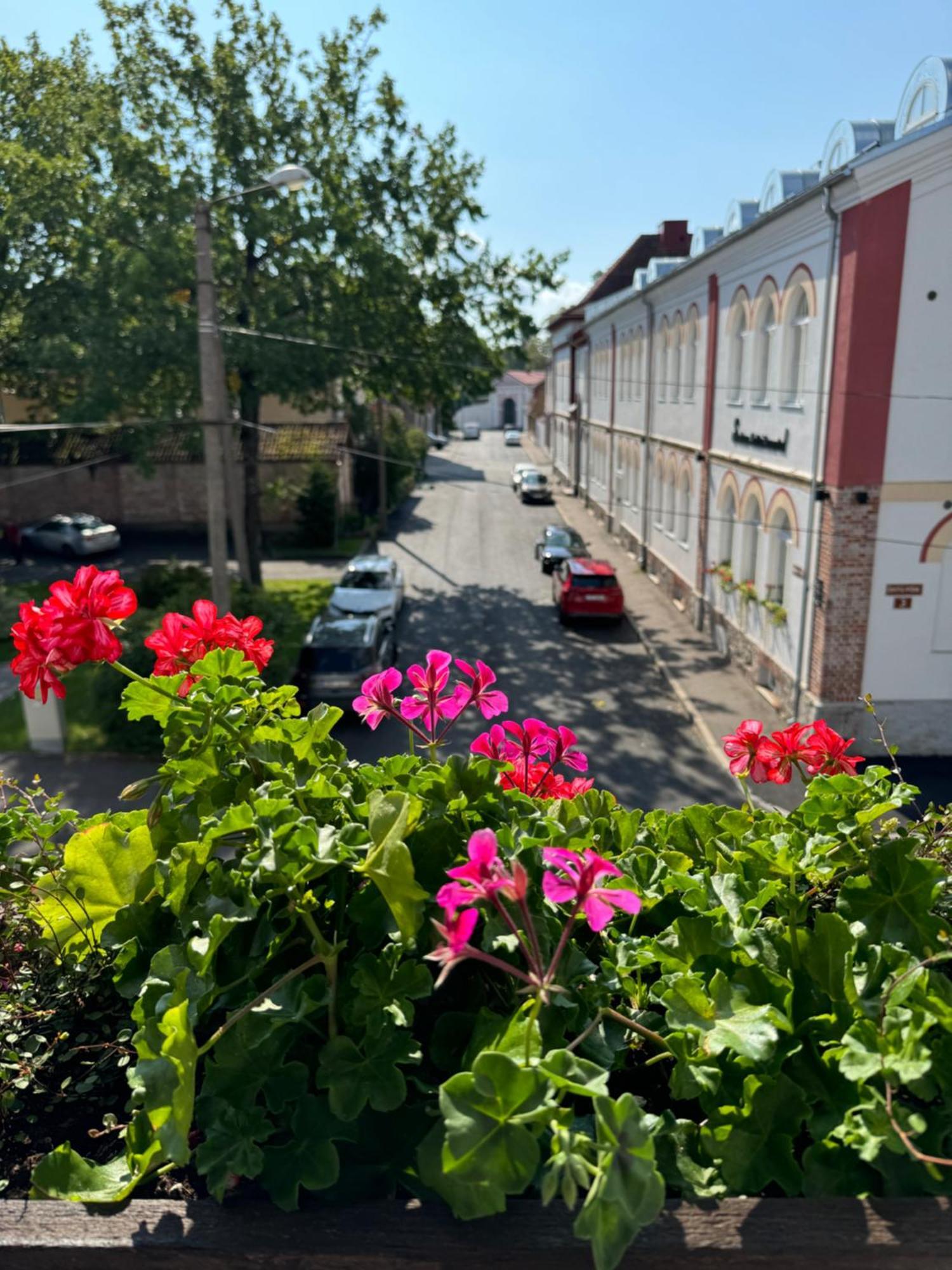 Ohtu Poik 4 City Center Apartment Pärnu Extérieur photo